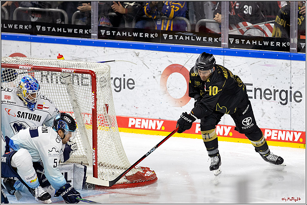PENNY DEL;  Kölner Haie - ERC Ingolstadt; Köln, 25.11.2022